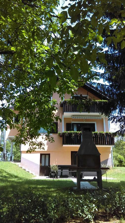 Countryside Apartment Rakovica Extérieur photo